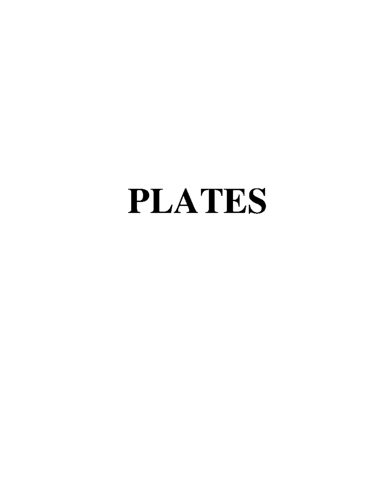 08. Plates - Photo Documentation - PLATES Plate 1. Photo showing the ...
