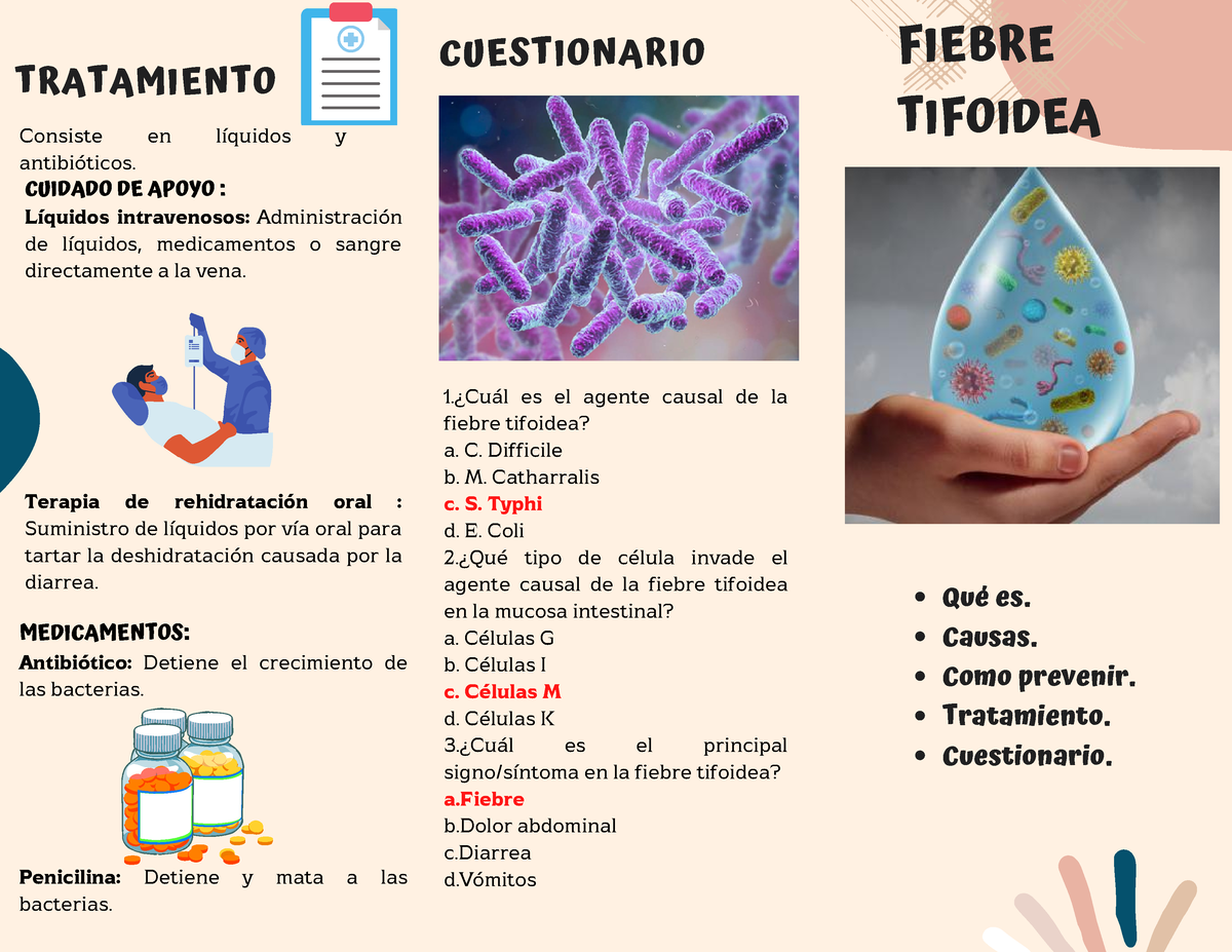 síntomas y causas de la fiebre tifoidea