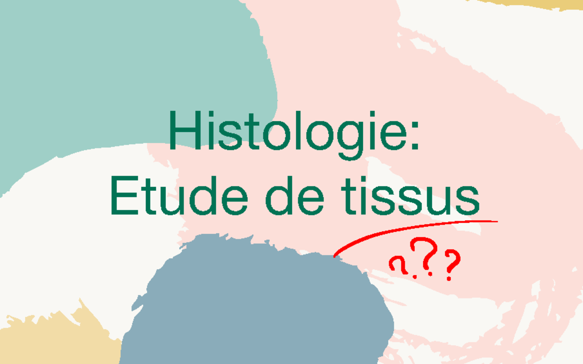 Diapos d'Histologie - histologie des tissus - Histologie: Etude de ...