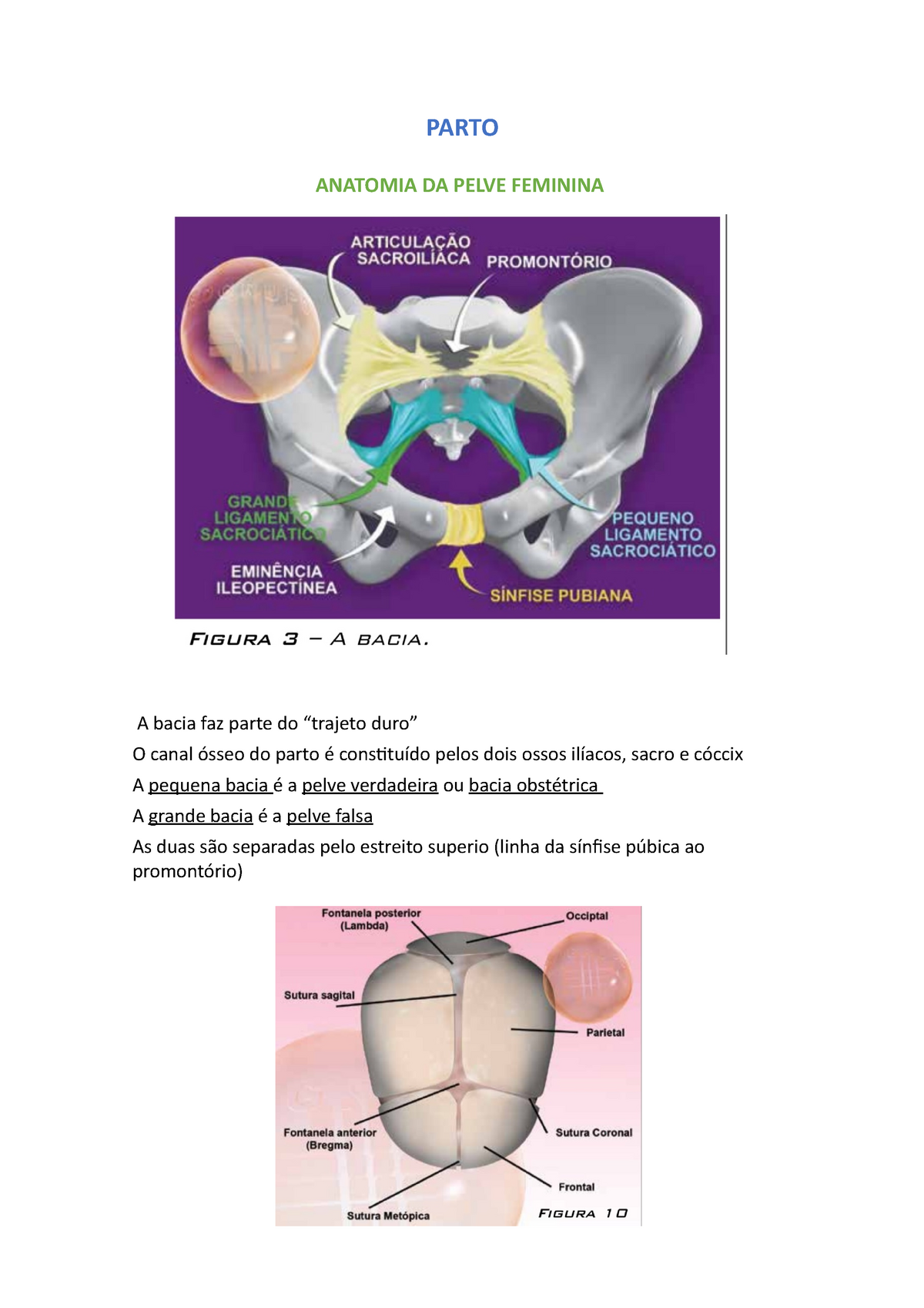 Parto Obstetr Cia Parto Anatomia Da Pelve Feminina A Bacia Faz Parte Do Trajeto Duro O