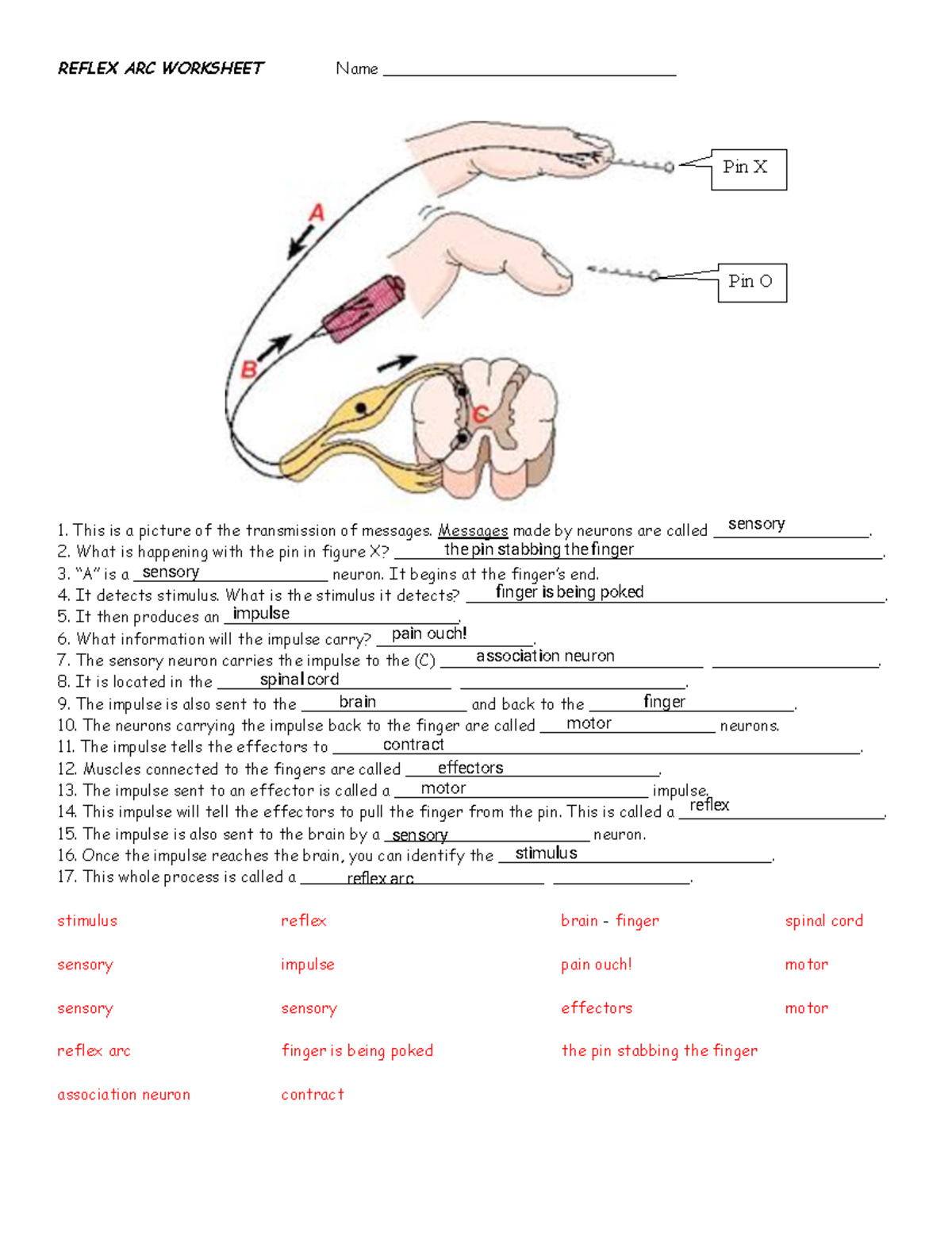 Kami Export - Reflex Arc Pathway Ws - Reflex Arc Worksheet Name