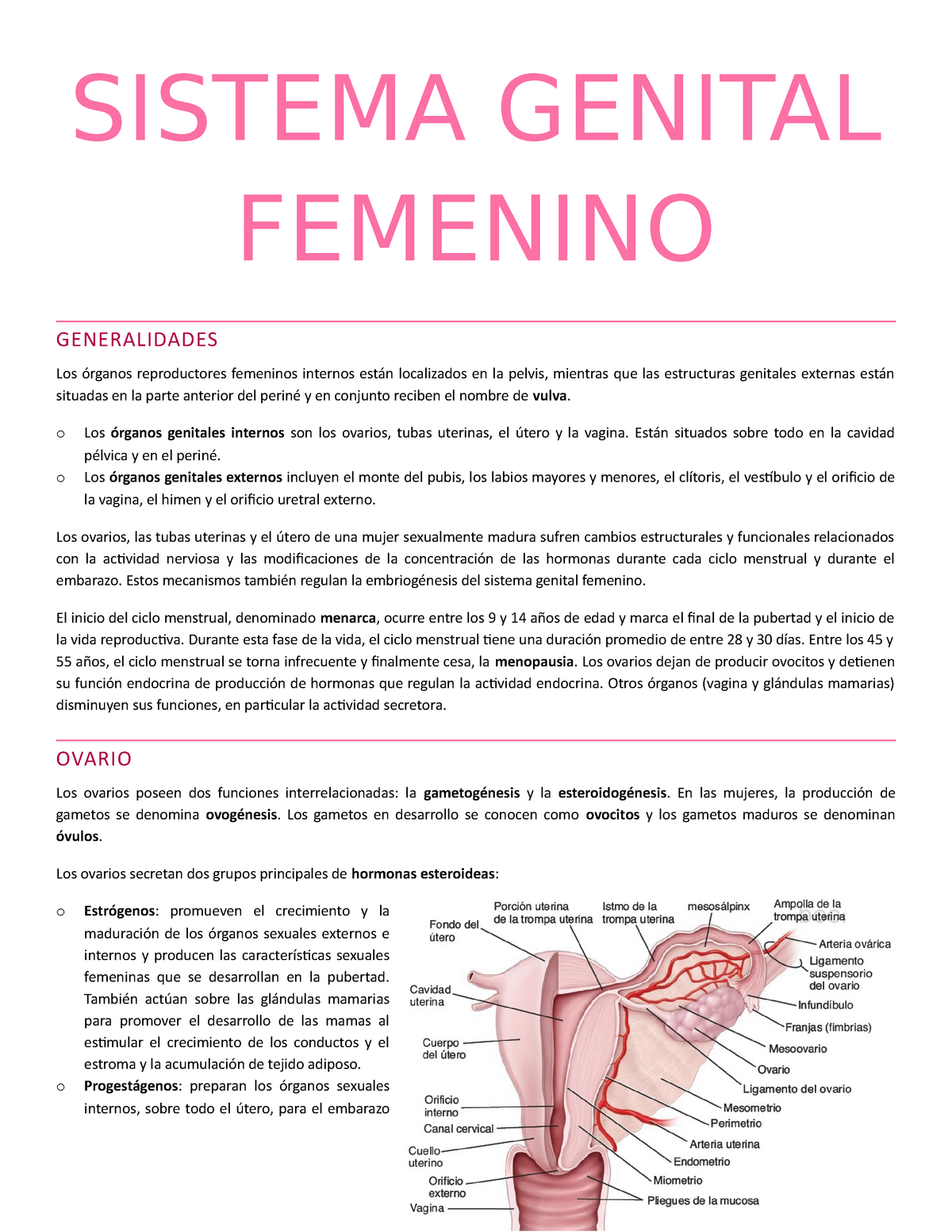 Resumen Histología Aparato Genital Femenino Sistema Genital Femenino