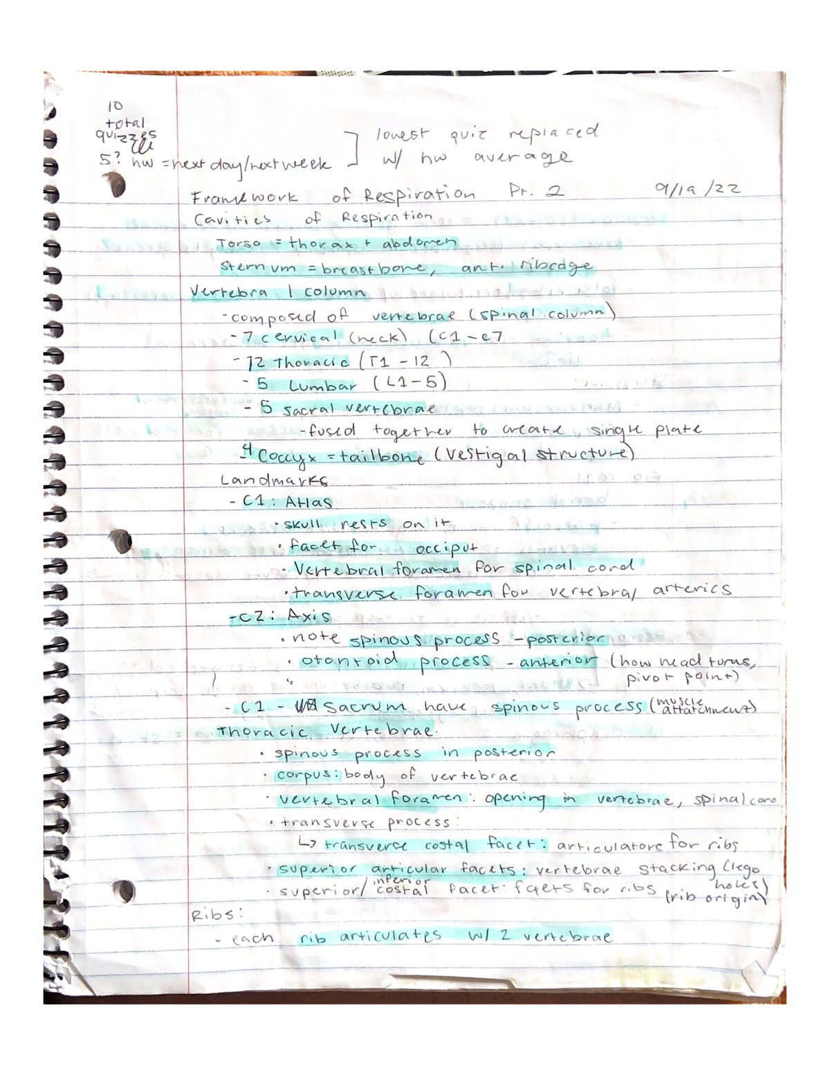 Framework Of Respiration Pt 2 - SPE 84 - Studocu