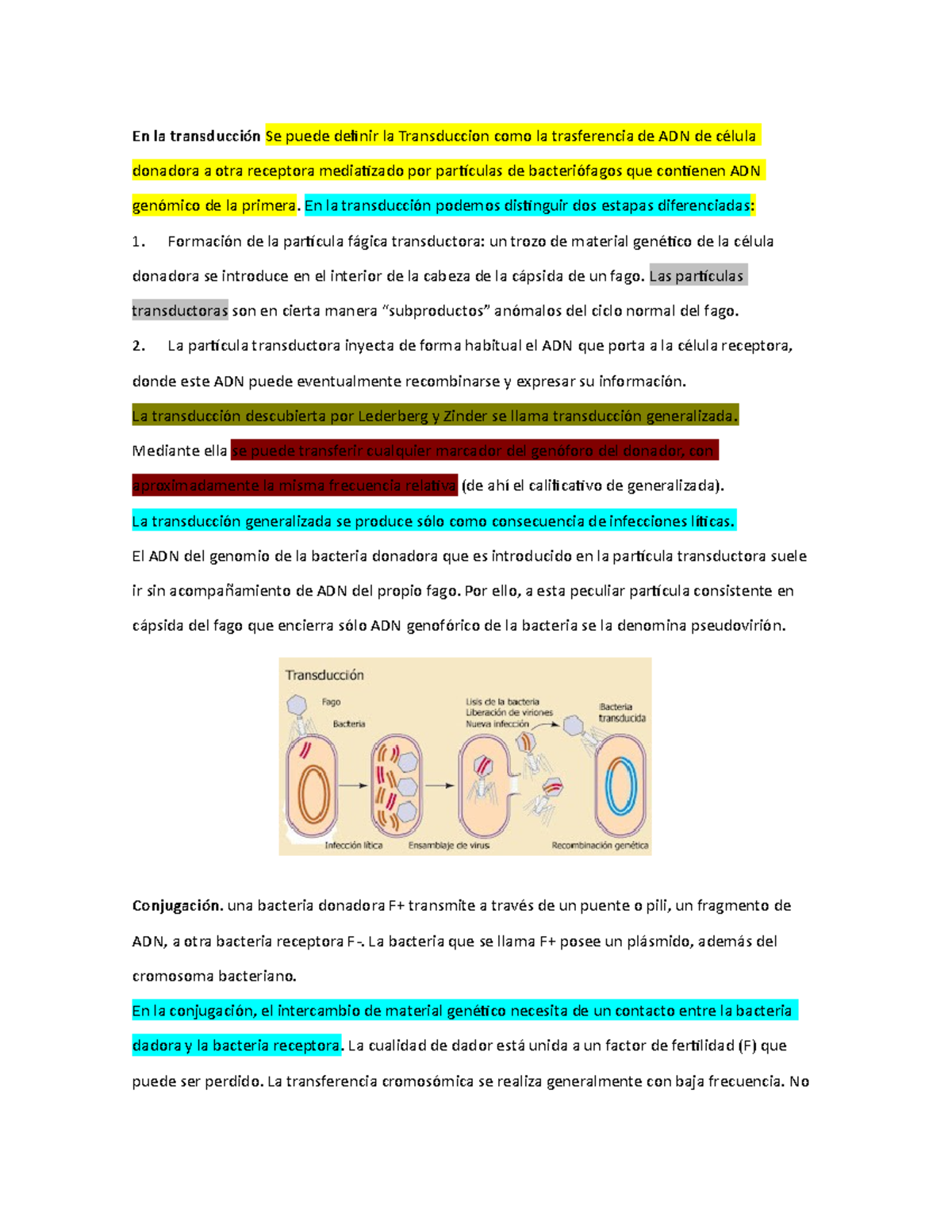 Exposicion - invstigacion - En la transducción Se puede definir la ...