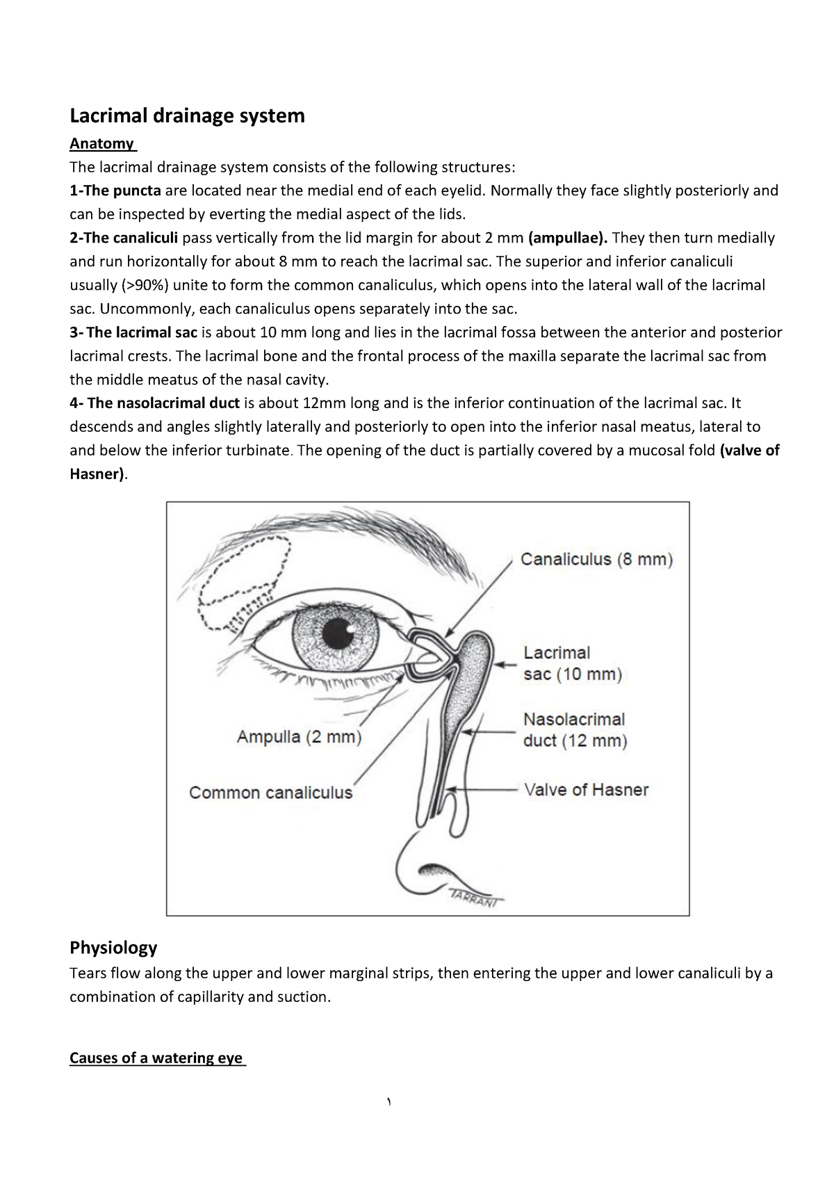 Lacrimal Drainage System Normally They Face Slightly Posteriorly And Can Be Inspected By 7238