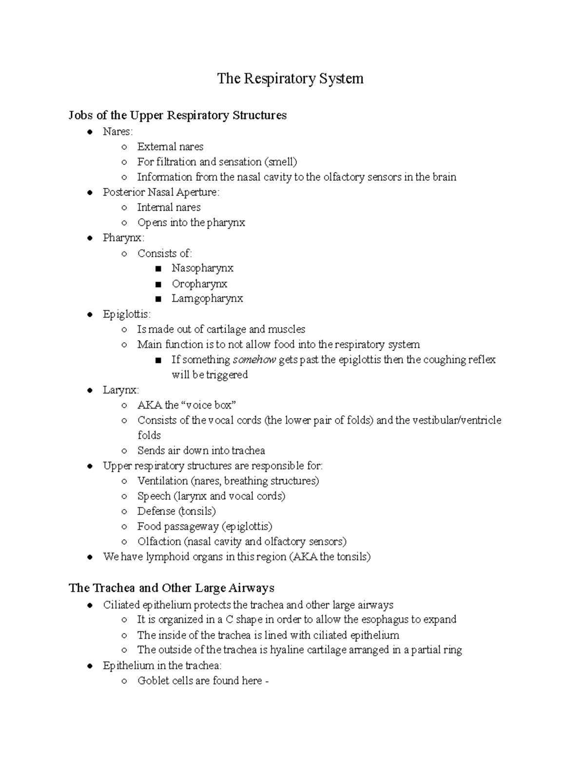 The Respiratory System - Studocu