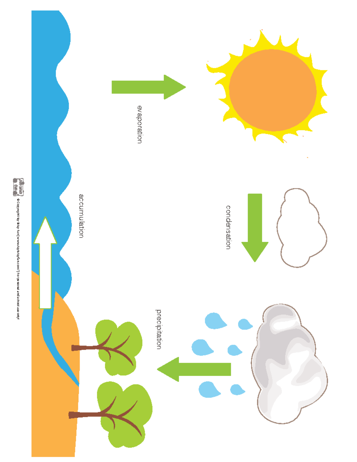 Water Cycle: Printable Chart - evaporation condensation precipitation ...