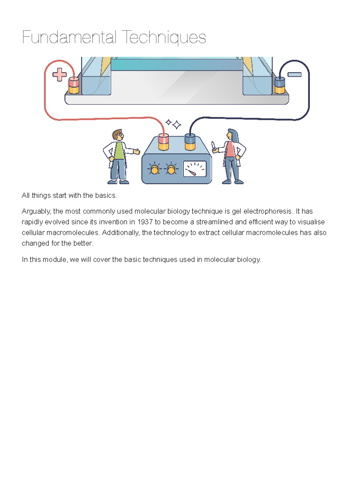 Basic Mol Bio Techniques Module - Fundamental Techniques All things ...