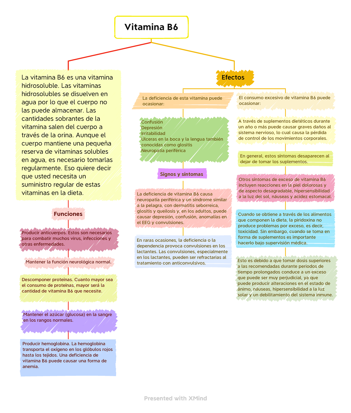 Proceso Del Negocio - Administración - Vitamina B La Vitamina B6 Es Una ...