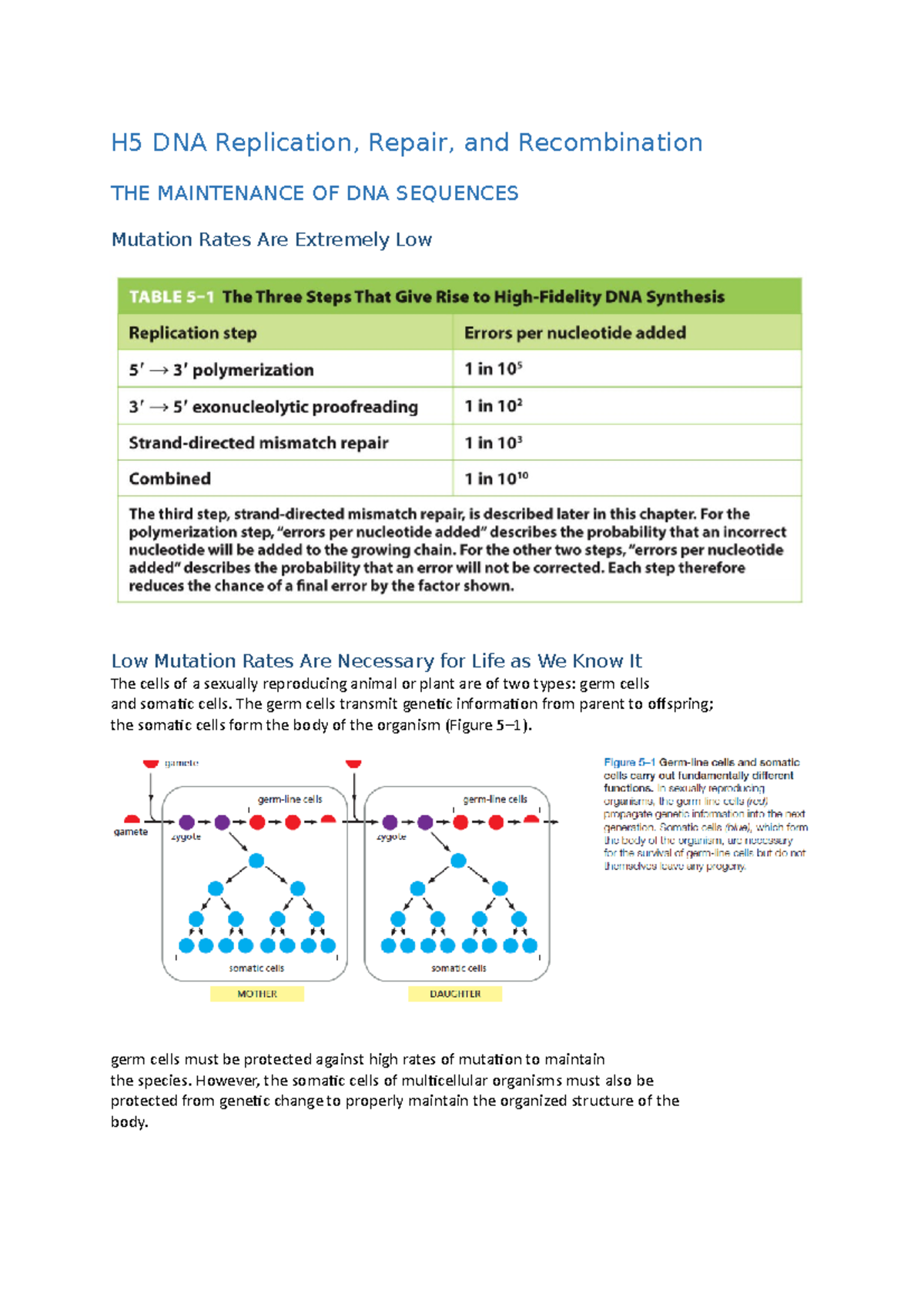 H5 DNA Replication, Repair and The germ cells transmit