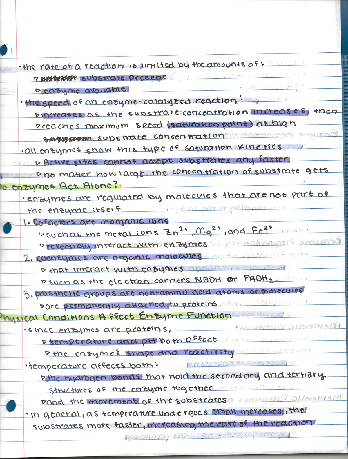 Chapter 8 Biology - BIO 111 - Studocu