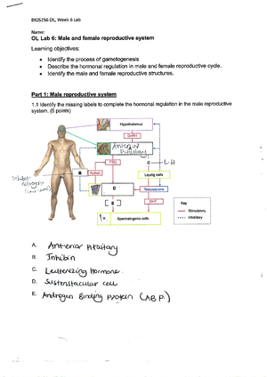 BIO201 L+Lab+6+Upload+Document - Student Name: Click here to enter text ...