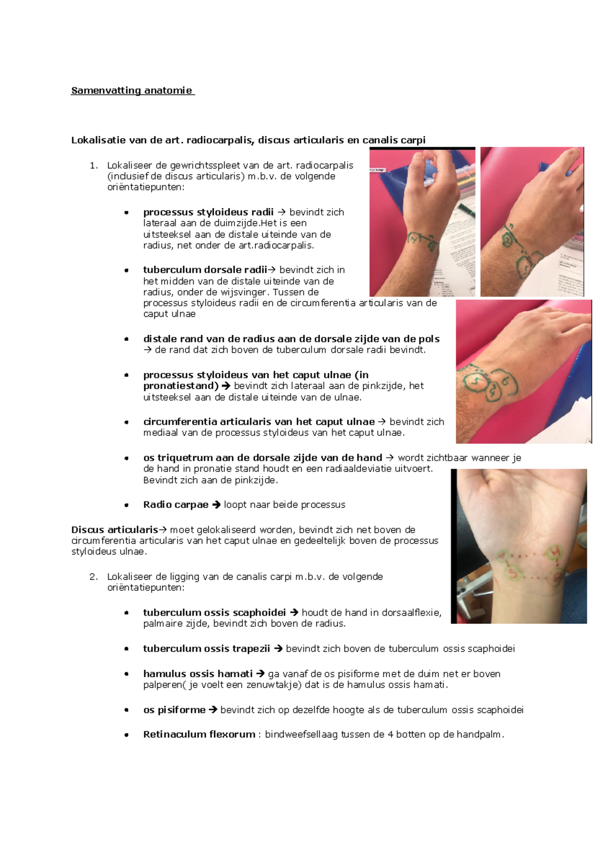 Samenvatting Anatomie Periode Polsgewricht Samenvatting Anatomie