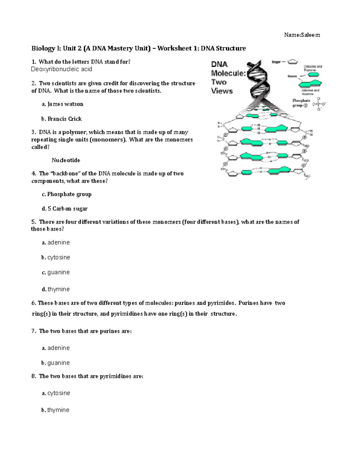 dna-structure-what-do-the-letters-dna-stand-for-deoxyribonucleic