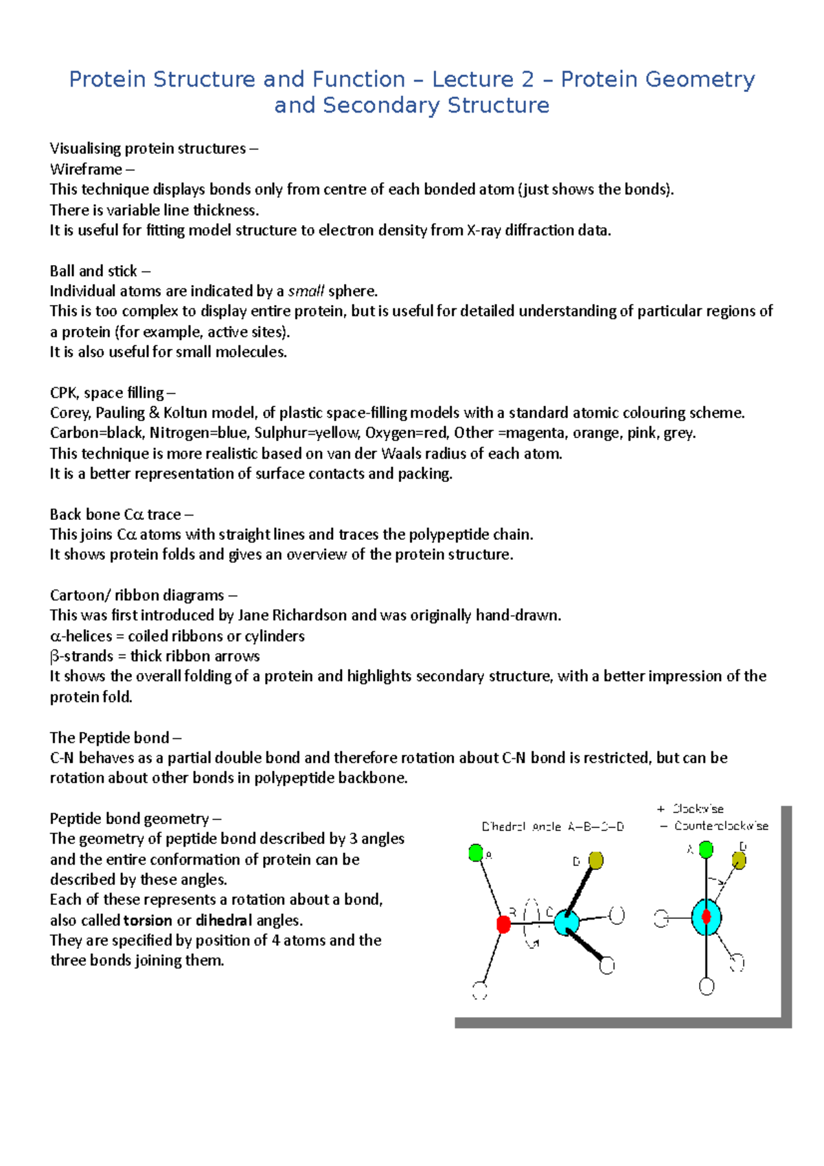 protein-structure-and-function-lecture-2-protein-structure-and