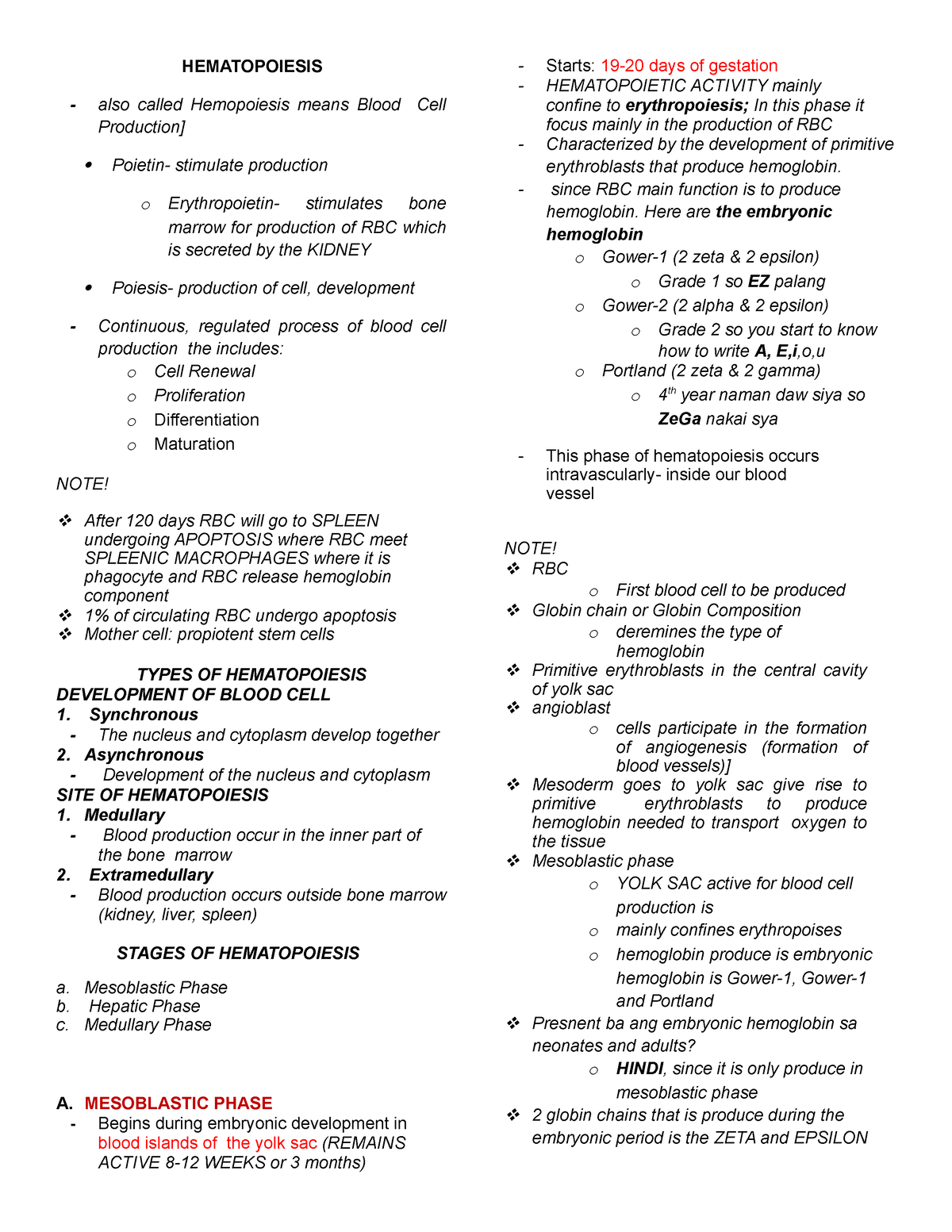 Hematopoiesis - Midterm BMLS notes - HEMATOPOIESIS also called ...