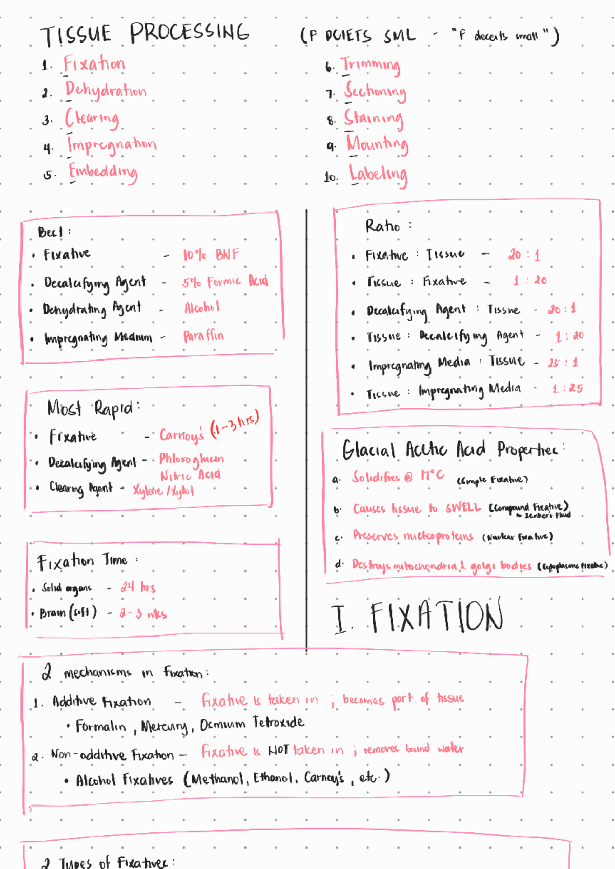 Histopath notes 240719 224722 - TISSUE PROCESSING (F DCIETS SML decents ...