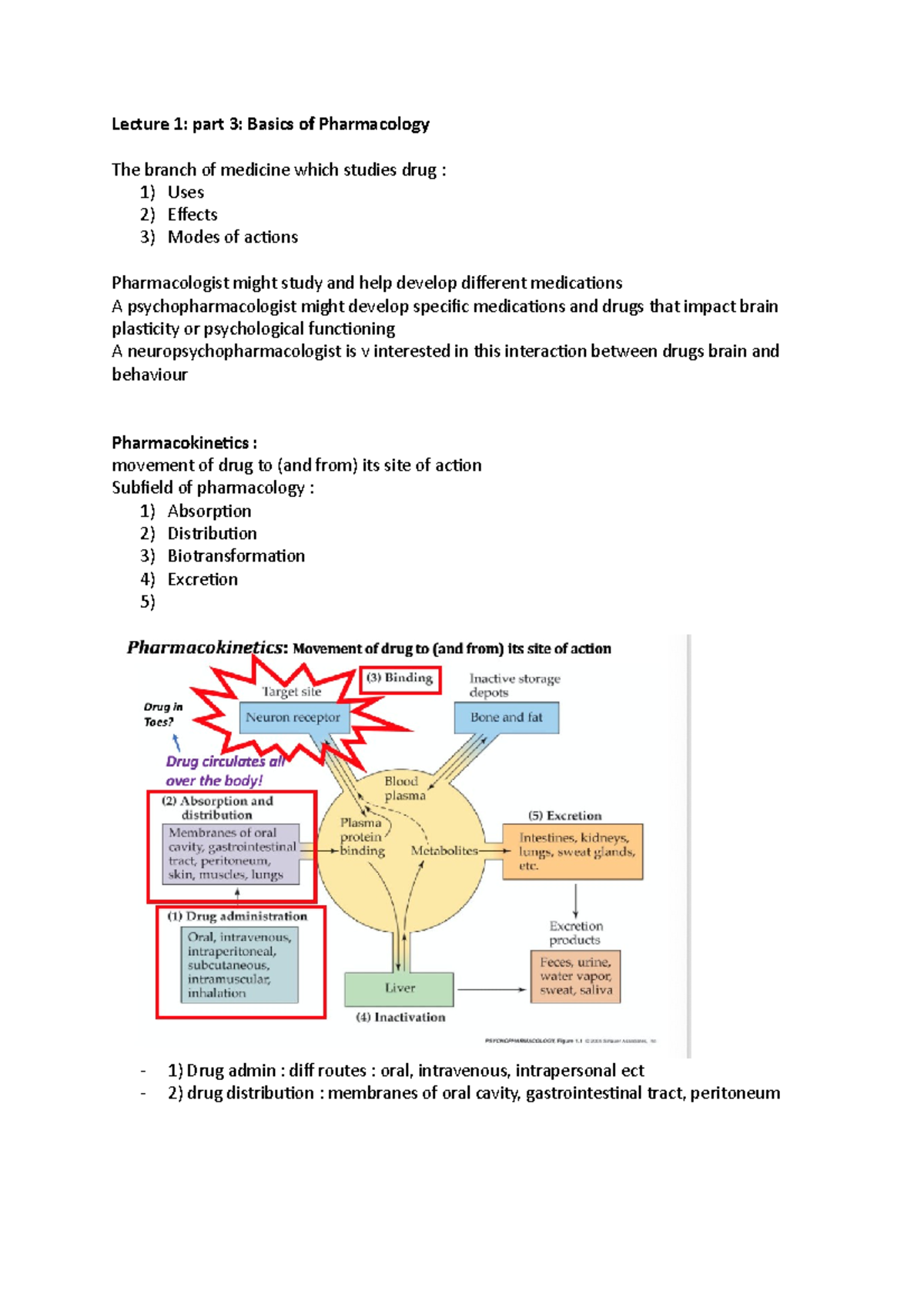 Lecture 1 Part 3 Pharmacology - Lecture 1: Part 3: Basics Of ...