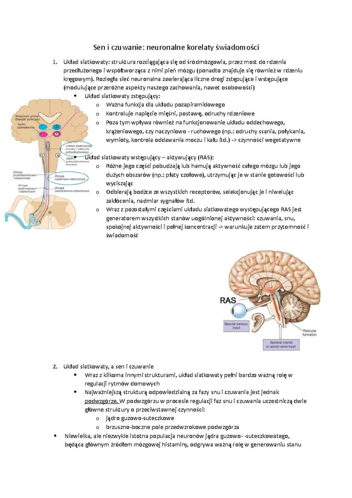 Sen I Czuwanie Notatka Z Tematu Sen I Czuwanie Neuronalne Korelaty