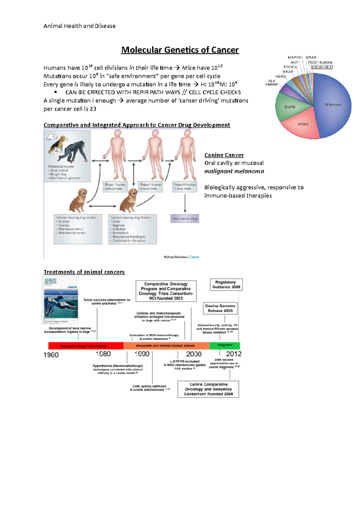 What Is Molecular Genetics Of Cancer