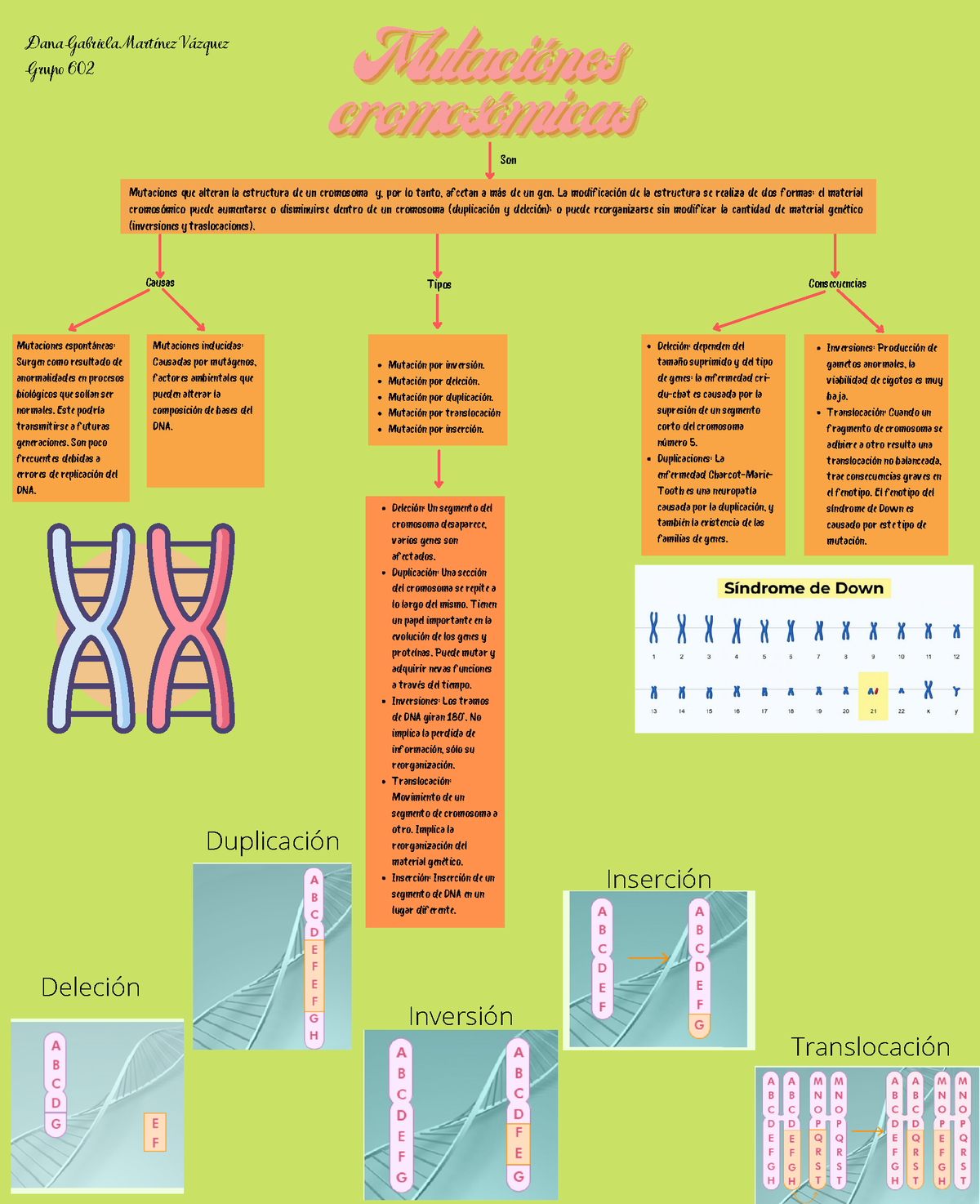 Mapa conceptual mutaciones cromosómicas - Causas Consecuencias  MutaciónesMutaciónesMutaciónes - Studocu