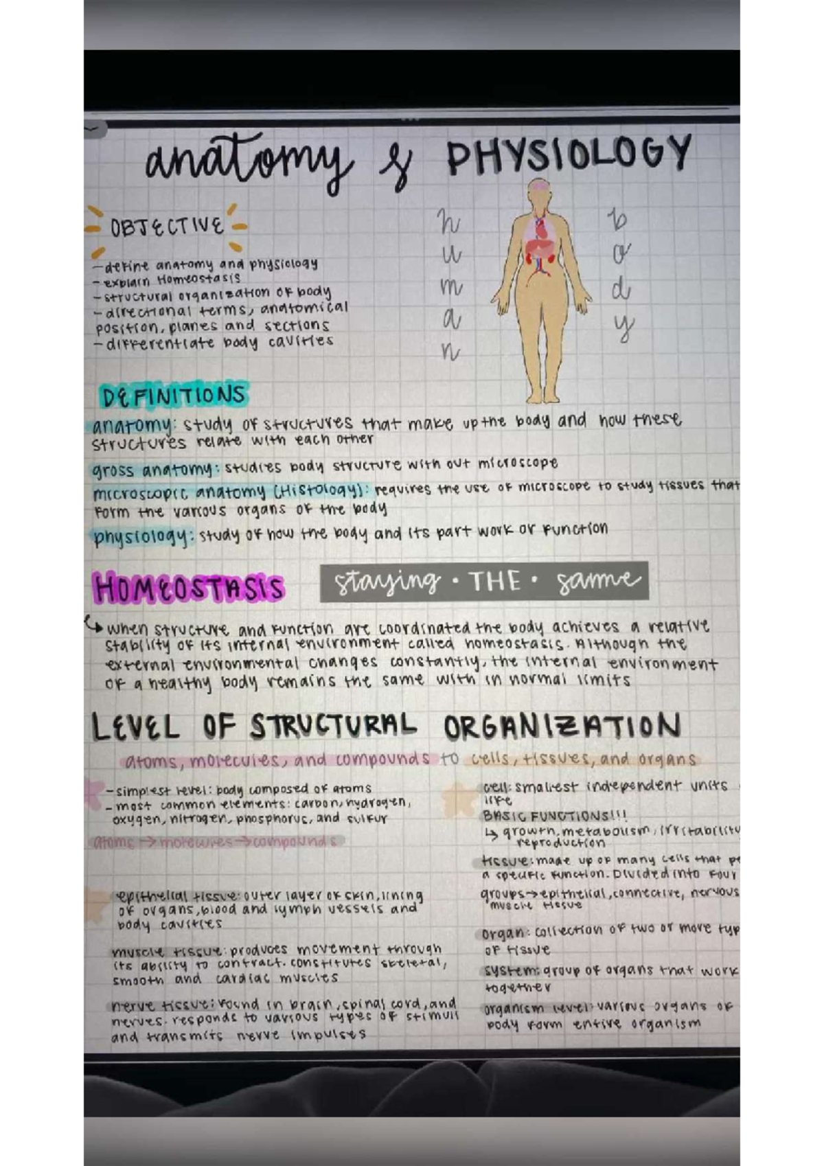 College note taking on ipad with good notes the #1 study tip for ...