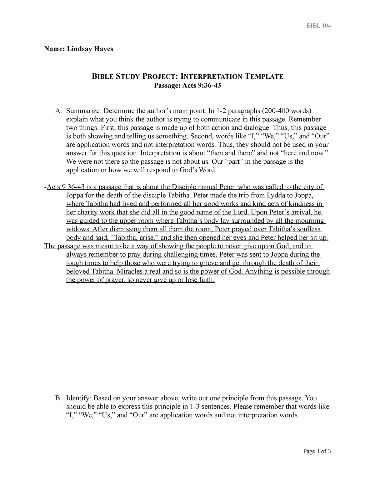 bible study project interpretation assignment