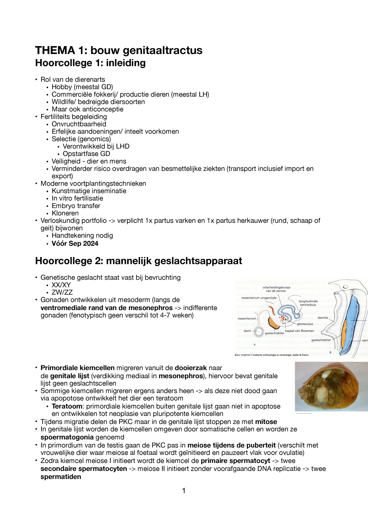 VP Hoorcolleges, Emodules En Practica - THEMA 1: Bouw Genitaaltractus ...