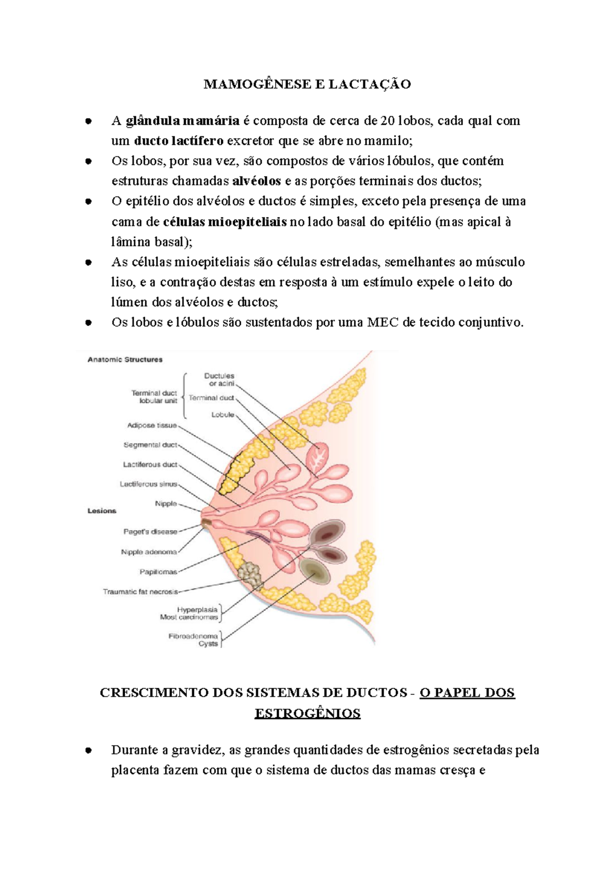 Lactação - Resumo Concepção E Formação Do Ser Humano - MAMOGÊNESE E ...