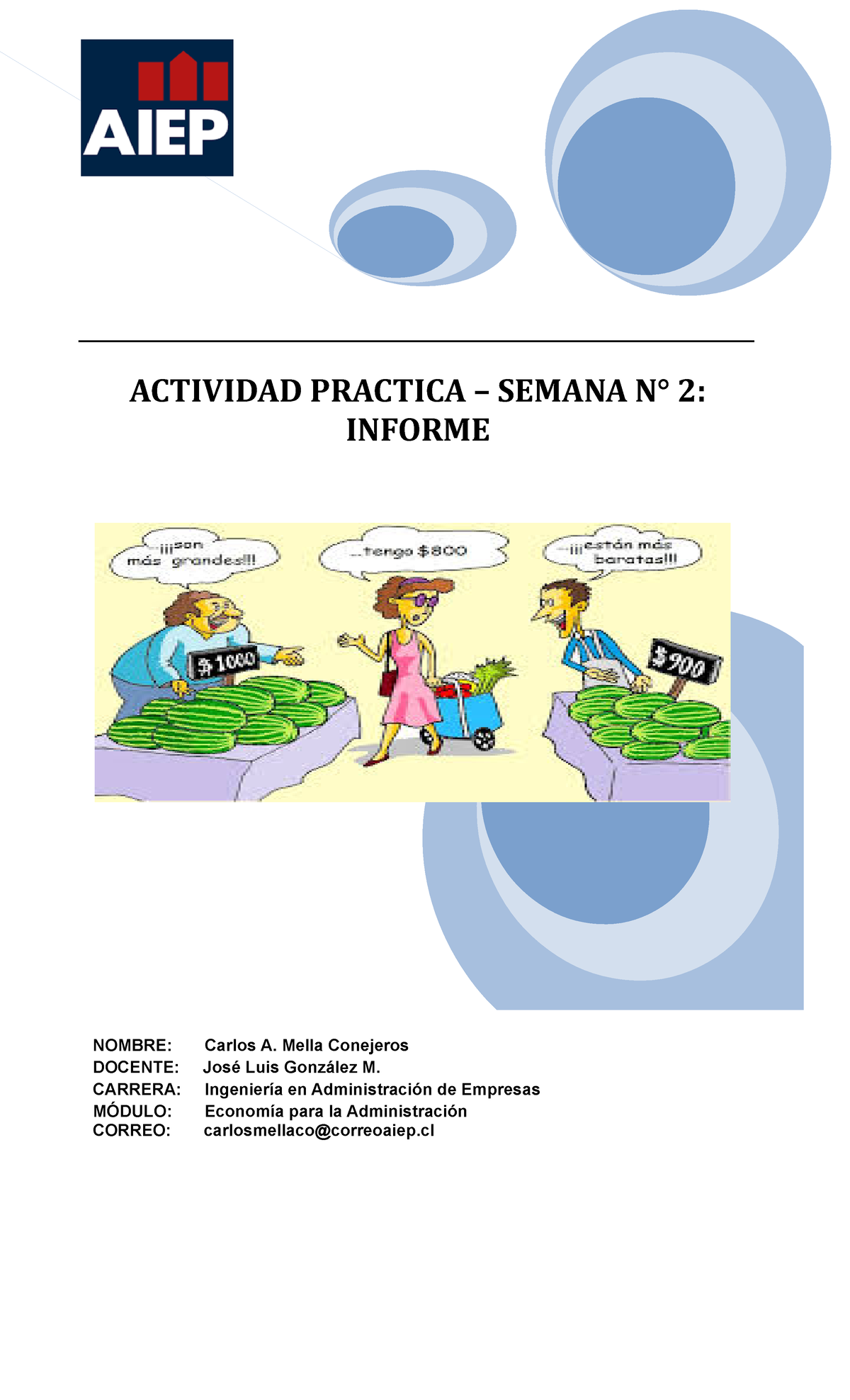 Actividad Práctica N° 2 Economía Para La Administración Carlos Mella ...