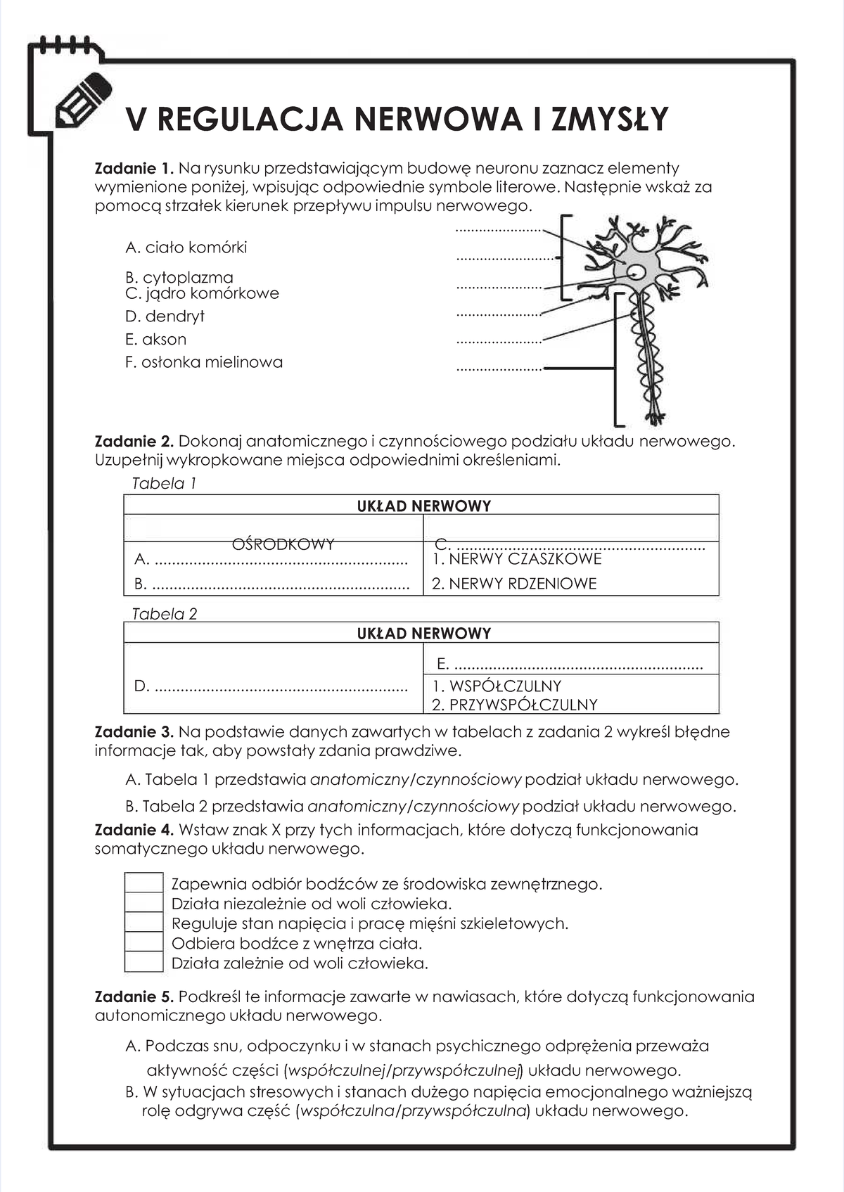Układ Hormonalny Sprawdzian Pdf-02f-klasa-7-sprawdziany-ukad-nerwowy-ukad-hormonalny-ukad-ruchu