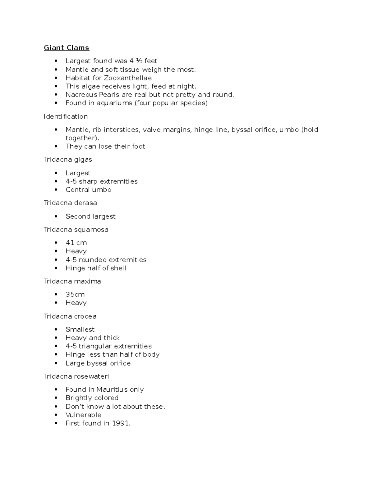 Phylum - Giant Clams - Notes for Marine Inverts class - Giant Clams