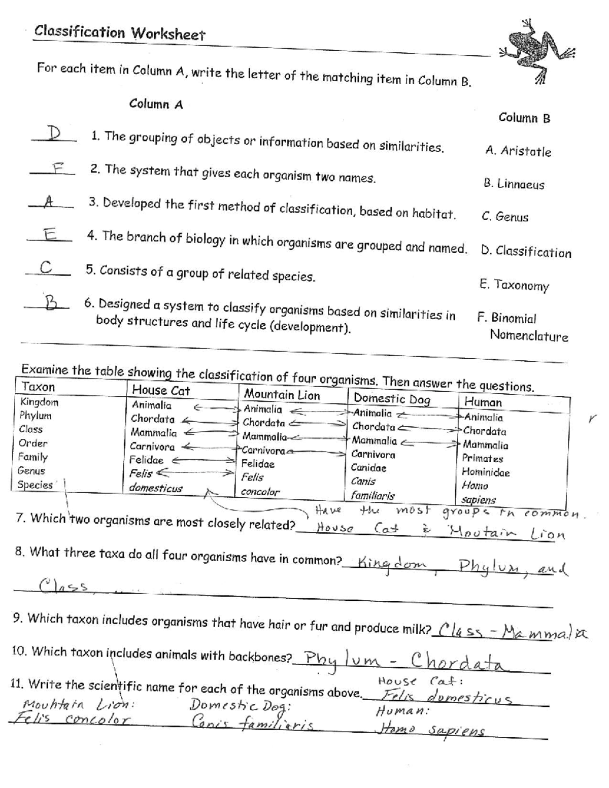 Classification packet key - Social Physiology - Studocu