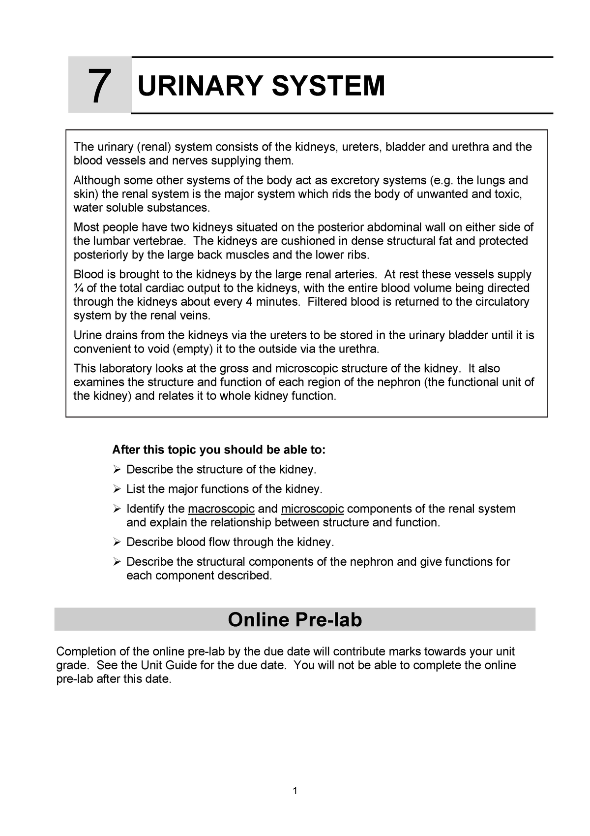 07 Urinary System 2021 (answers) - 7 URINARY SYSTEM After This Topic ...