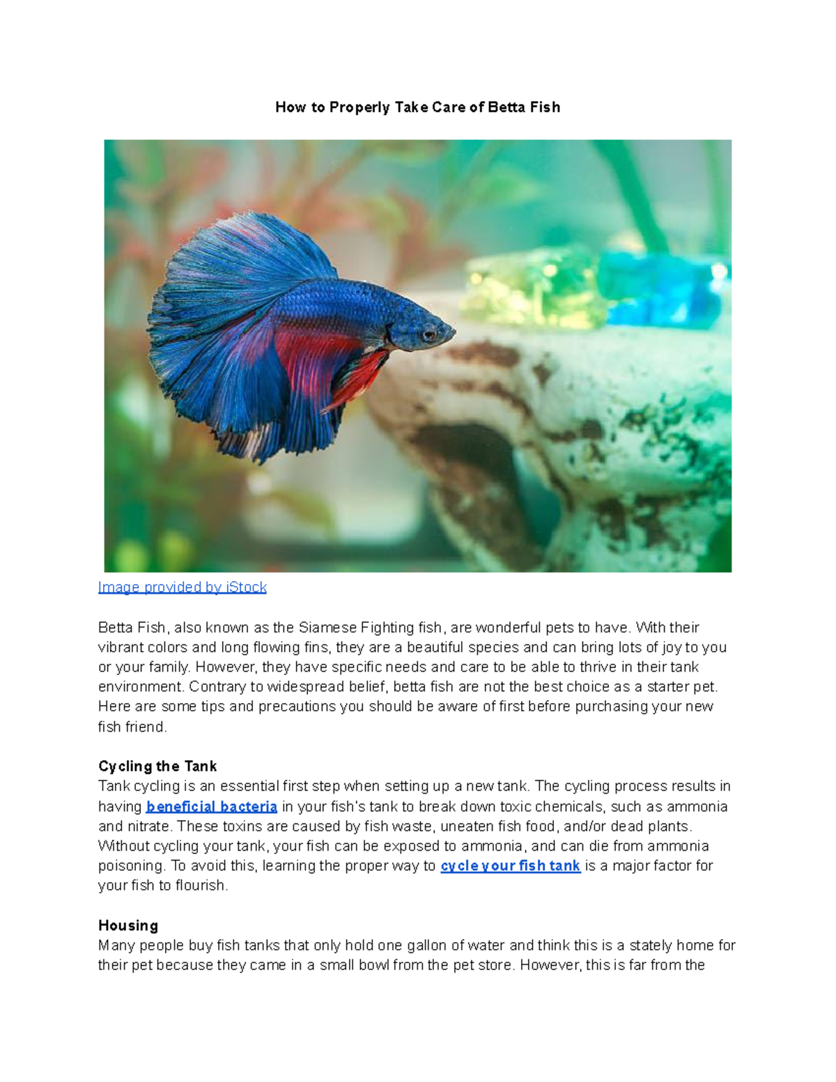 How to Properly Take Care of Betta Fish With their vibrant colors and