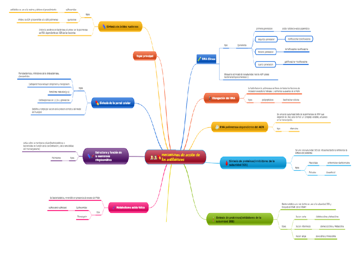 Mapa Mental Docente Susana Peralta Microbiolog A Y Parasitolog A