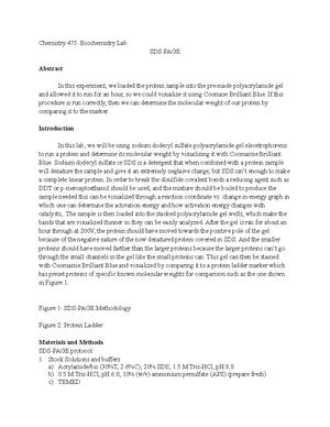 Copy of LAB1 - Lab 1 assignment - Absorbance: Optical Assay of PNP ...