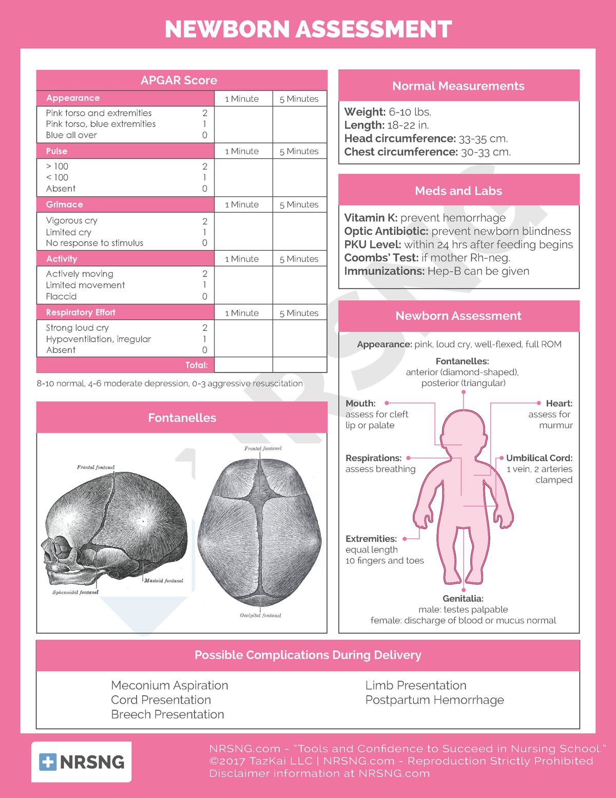physical exam normal findings