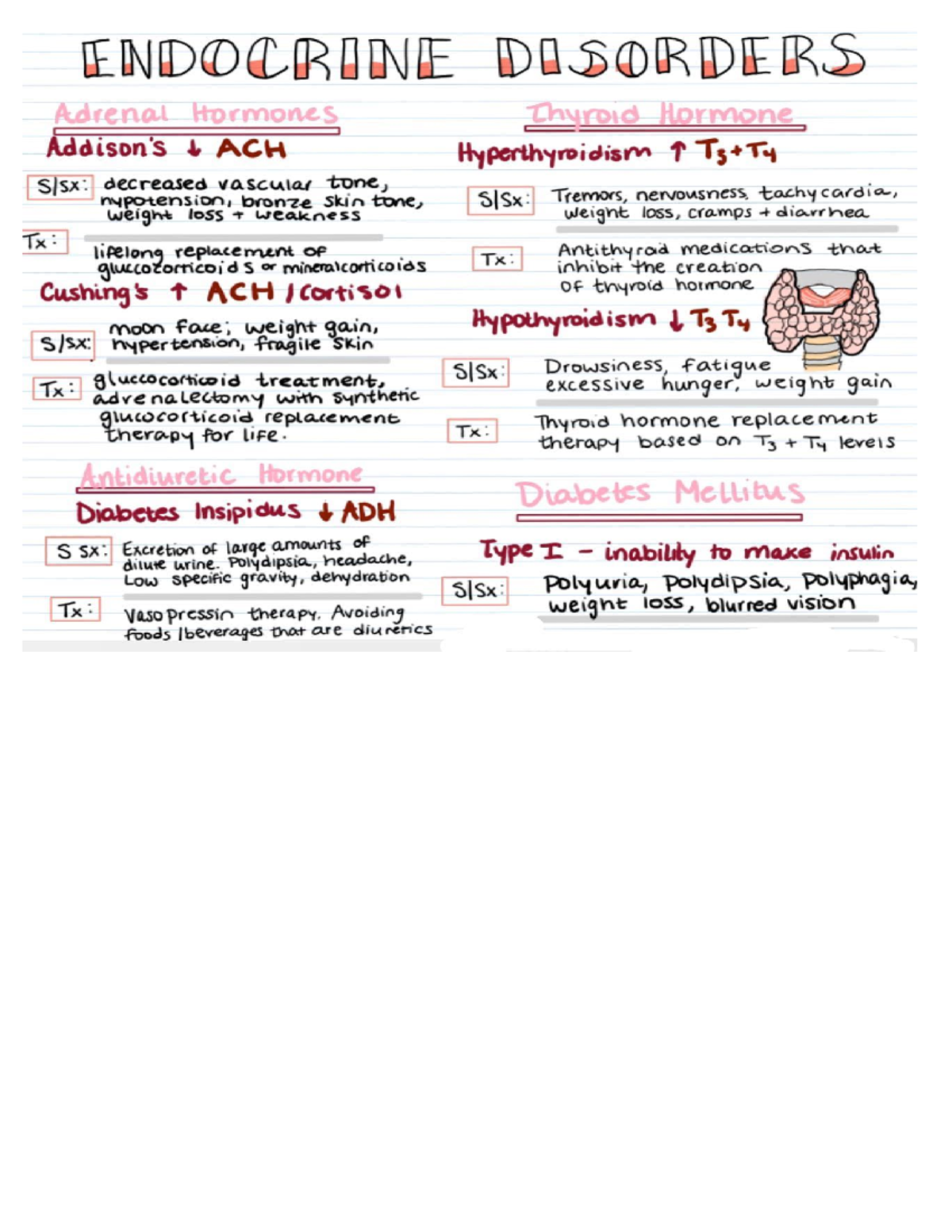Edocrine study stuff - Helpful hints - NUR 1211 - Studocu