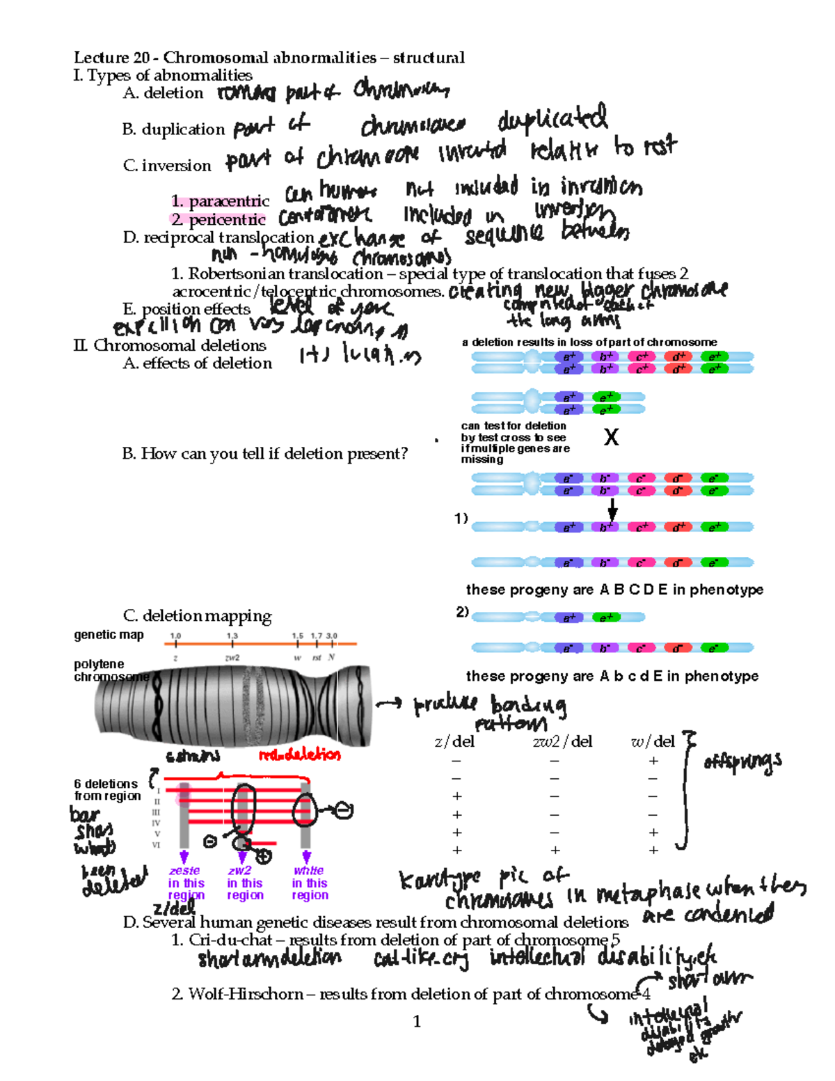 Lec20 - asdas - 1 Lecture 20 - Chromosomal abnormalities – structural I ...