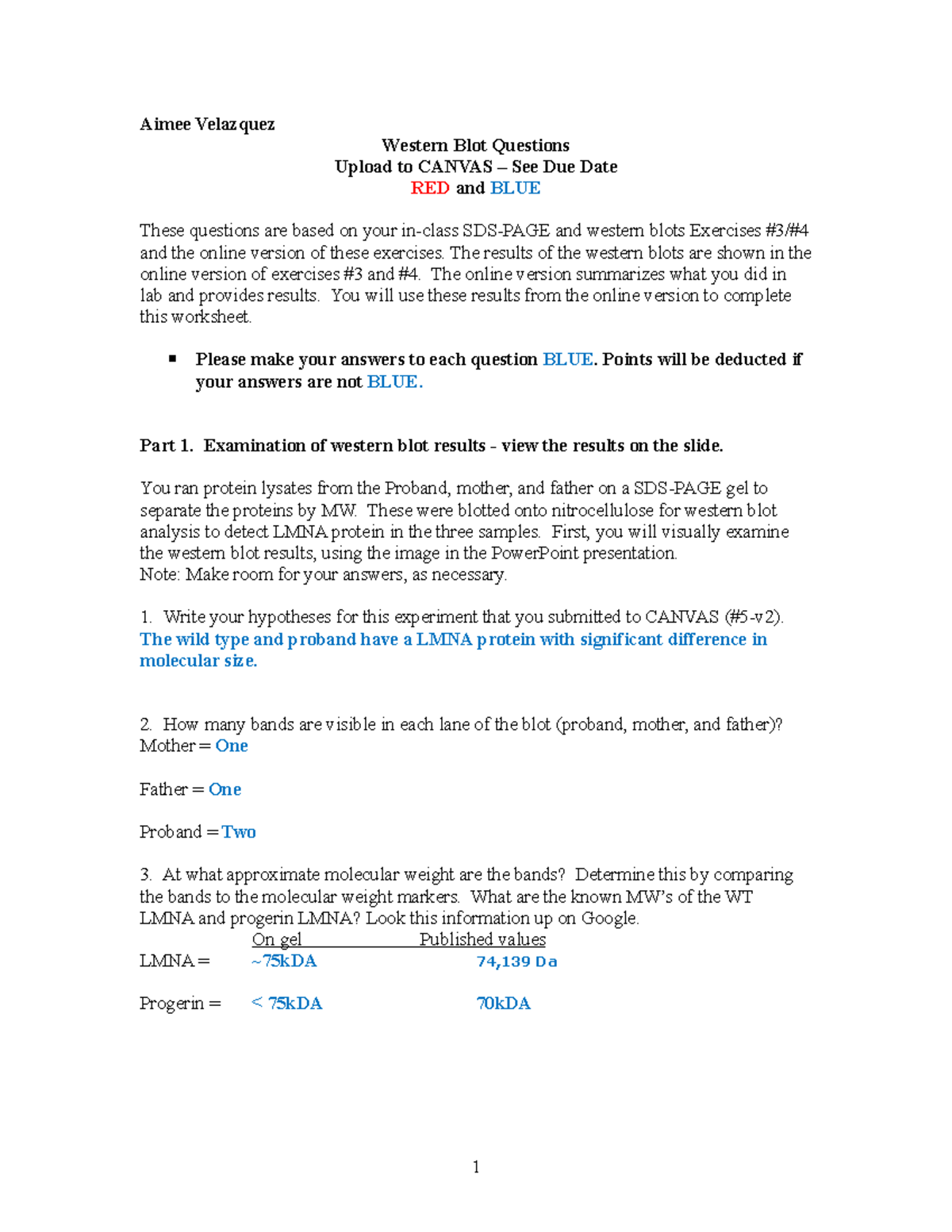 Western Blot Worksheet Aimee Velazquez Western Blot Questions Upload