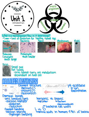 Gram Positive Rods - Spoggiffrmers Clostridium GP RODS ...