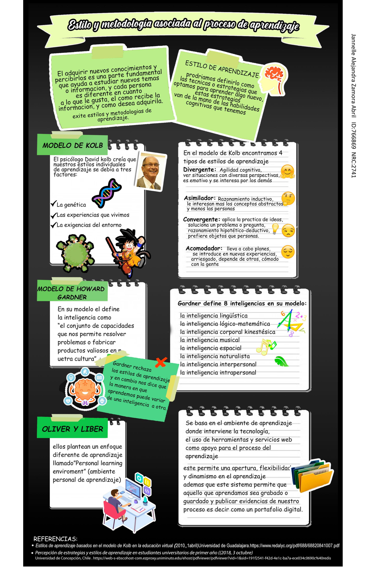 Infografia Estilos Y Metodos De Aprendizaje Aprendizaje Autónomo 2134