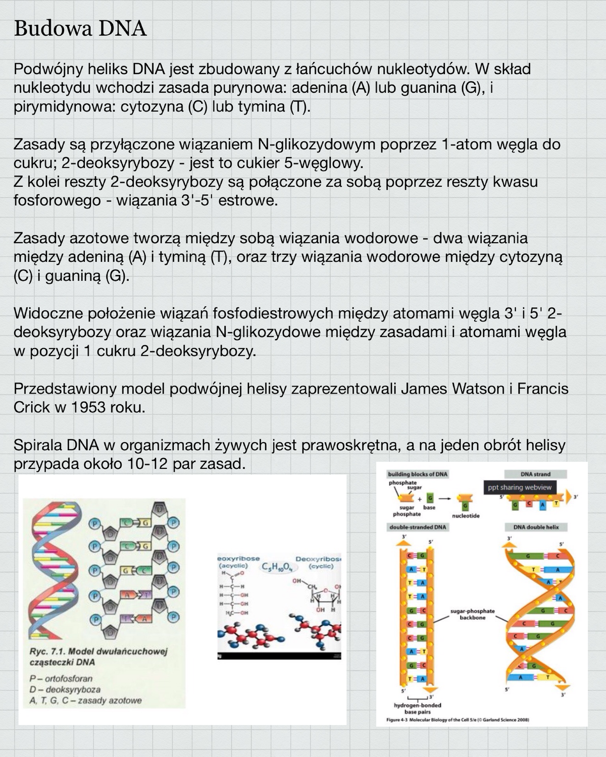 Biologia I Genetyka.DNA 2023-10-07 - Biologia I Genetyka - Studocu