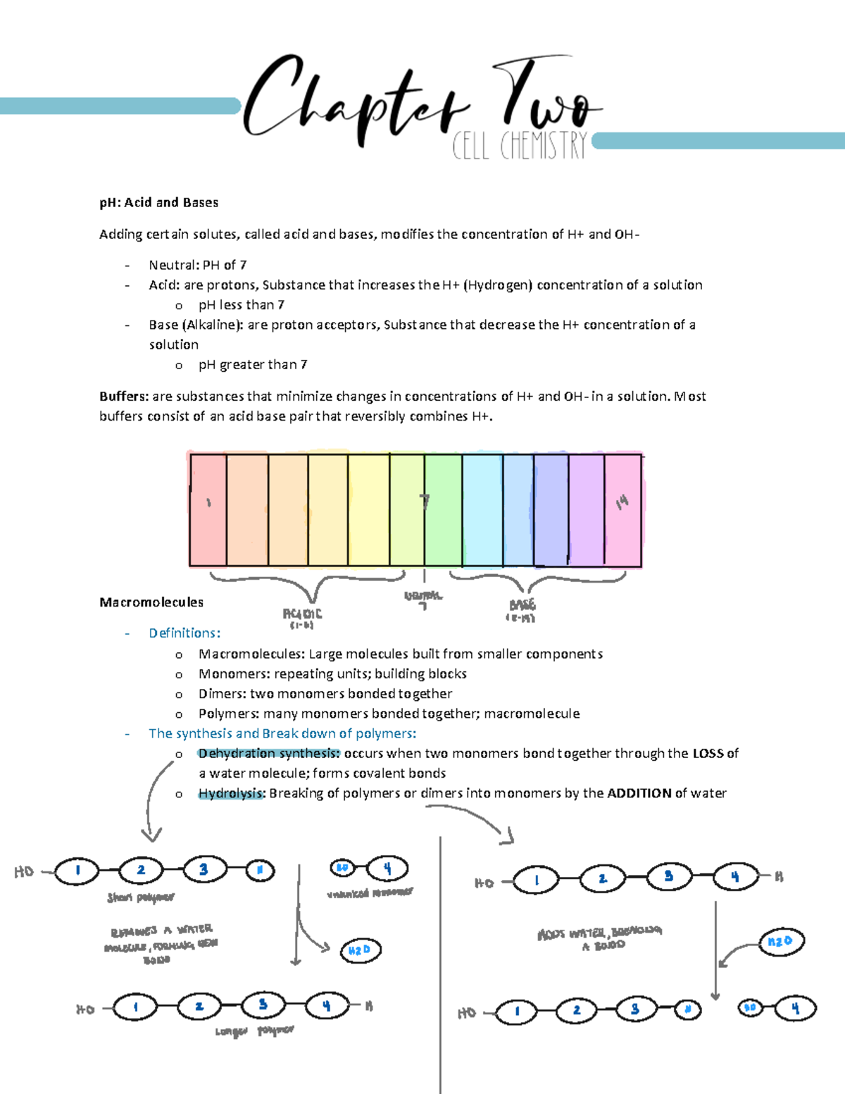 Chapter 2 - Cell Chemistry - pH: Acid and Bases Adding certain solutes ...