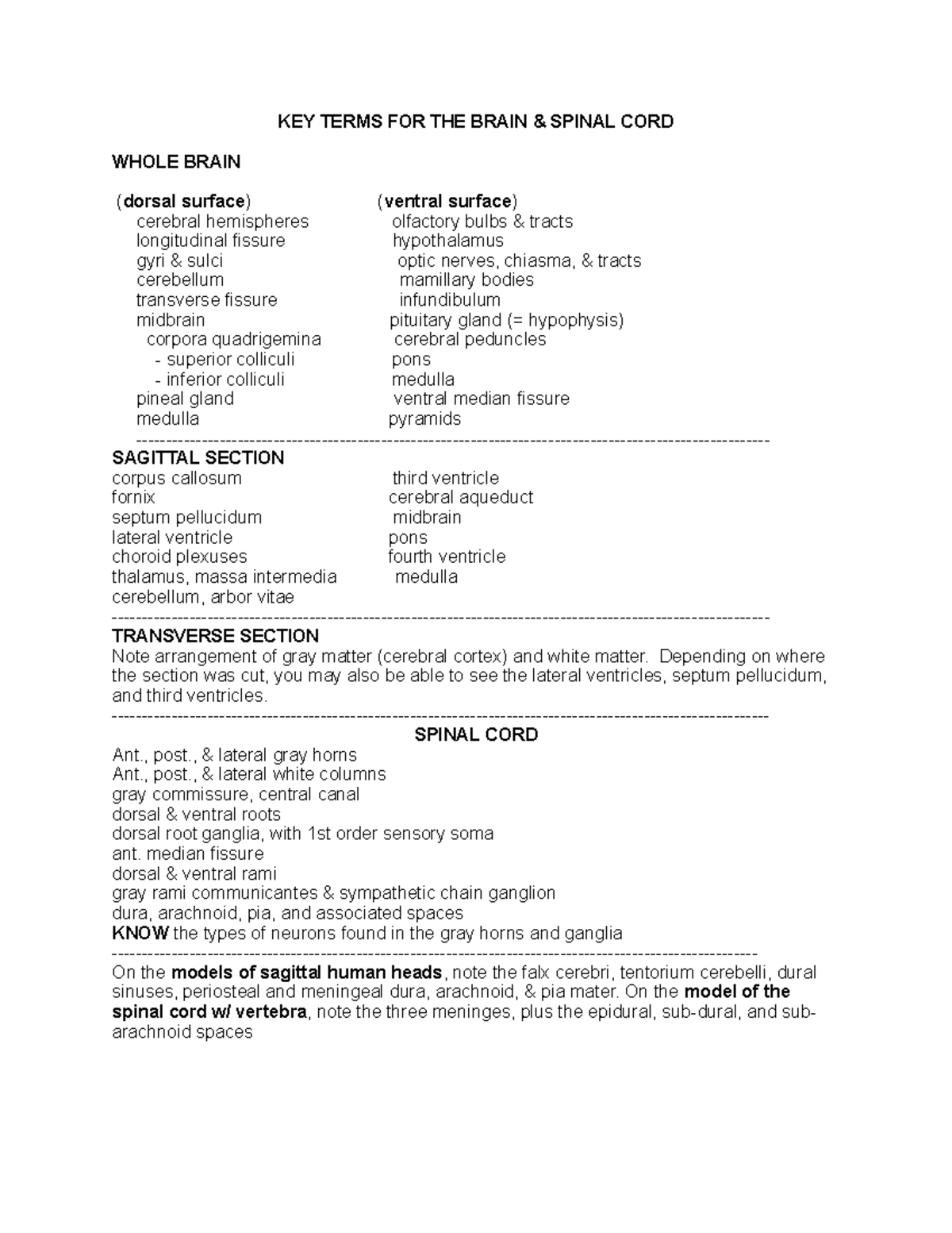 Ap2-braincnslab - Brain notes - KEY TERMS FOR THE BRAIN & SPINAL CORD ...