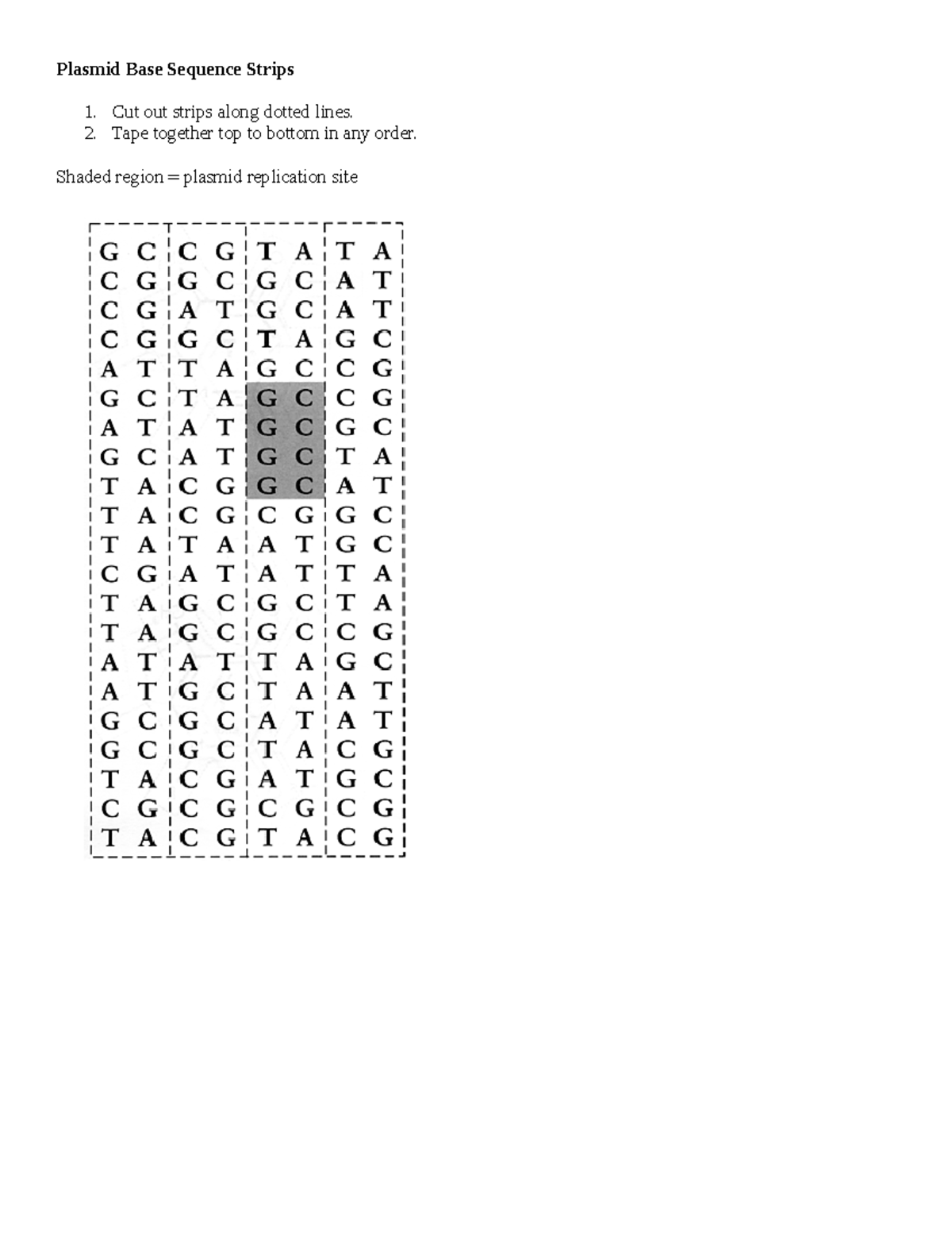 Jarvis Jackson DNA Paper Model ActivityStudent Plasmid