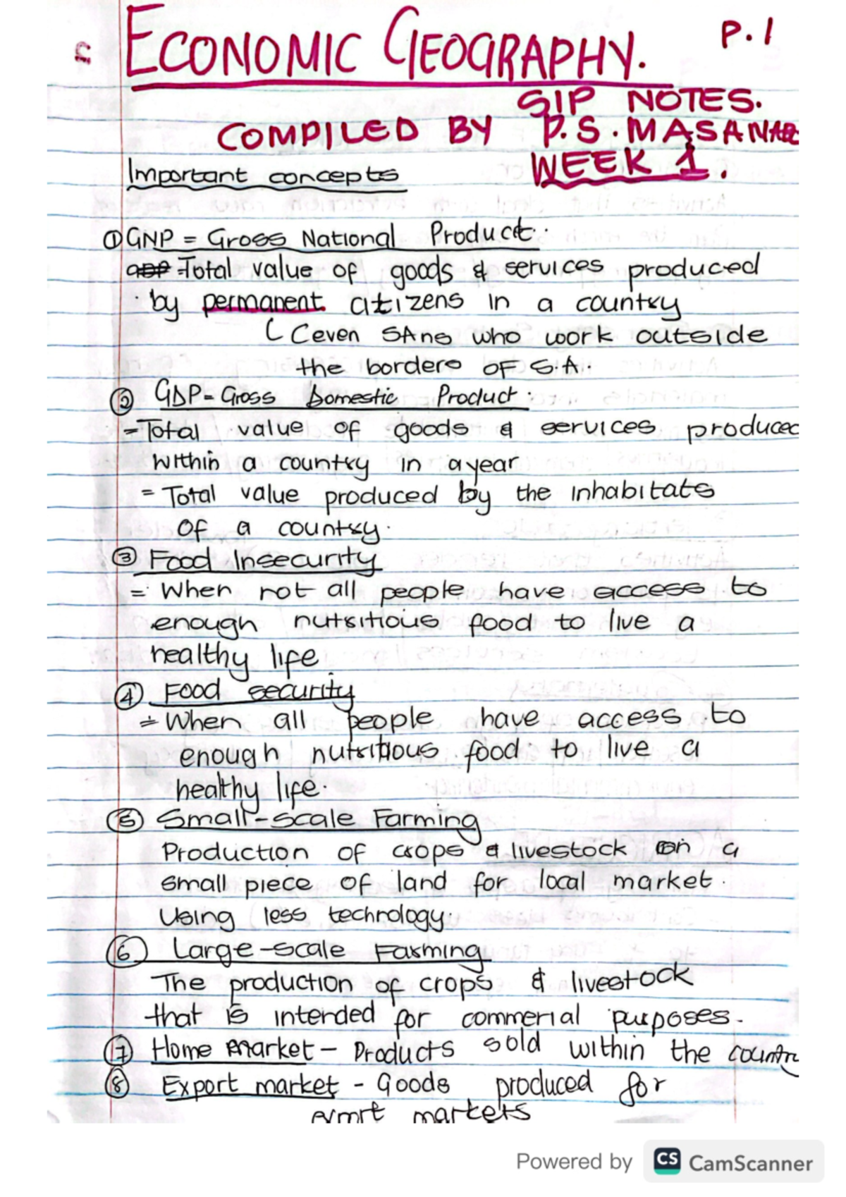 Economic geography handwritten notes Par - ECONOMIC GEOGRAPHY. P. I SIP ...