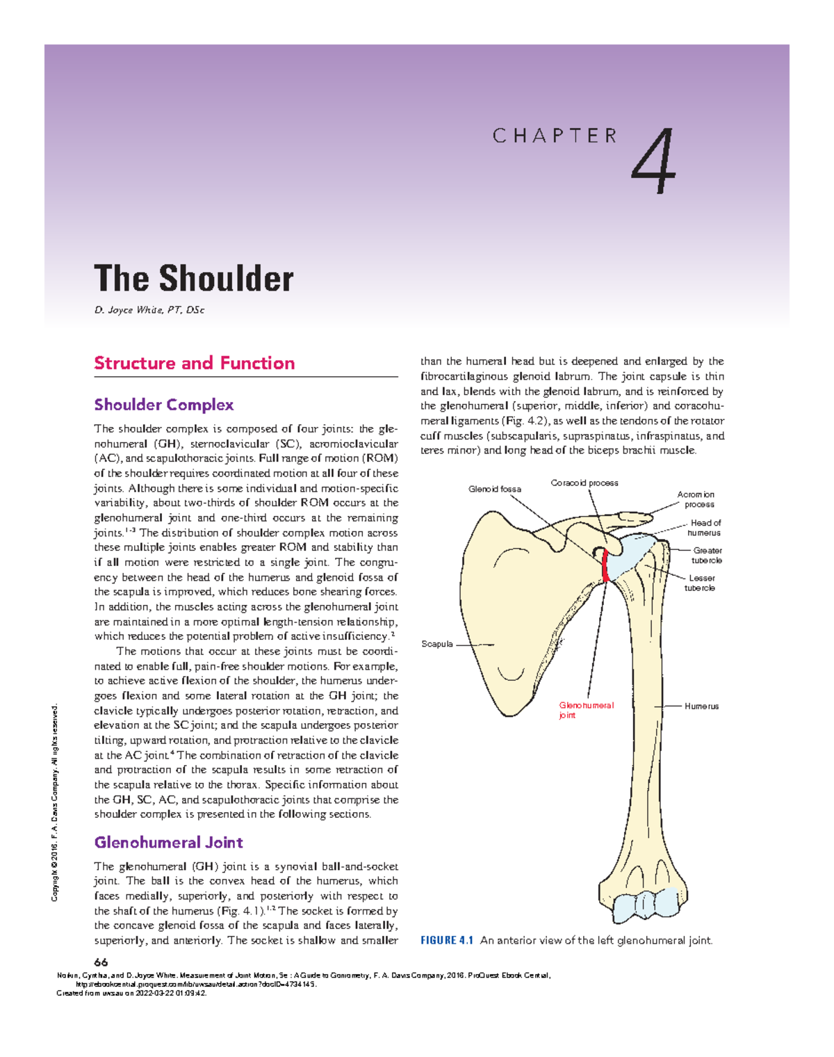 Measurement of Joint Motion 5e A Guide to Goniomet - 66 Structure and ...