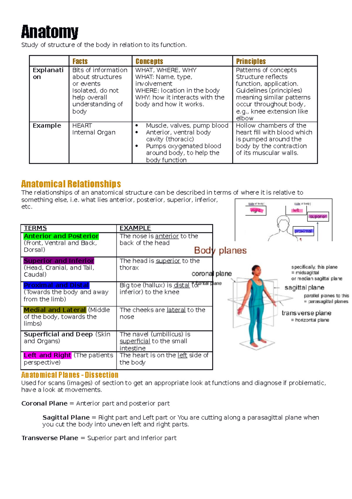 Anatomy - week 1 - Lecture notes 1 - Anatomy Study of structure of the ...